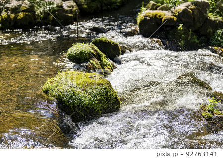 夏の京都　上賀茂神社（加茂別雷神社）　境内の御物井川(御物忌川)　京都府京都市 92763141