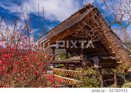 (山梨県)旧高野家住宅、地実棚の柿すだれ(枯露柿) (山梨県)旧高野家住宅、地実棚の柿すだれ(枯露柿) 92763432