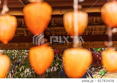 (山梨県)旧高野家住宅、地実棚の柿すだれ(枯露柿) (山梨県)旧高野家住宅、地実棚の柿すだれ(枯露柿) 92763438