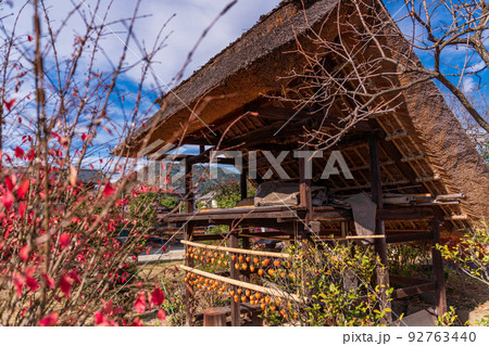 (山梨県)旧高野家住宅、地実棚の柿すだれ(枯露柿) (山梨県)旧高野家住宅、地実棚の柿すだれ(枯露柿) 92763440