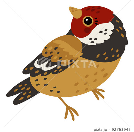 Cute goldfinch. Colorful winter bird. Cold season fauna 92763942