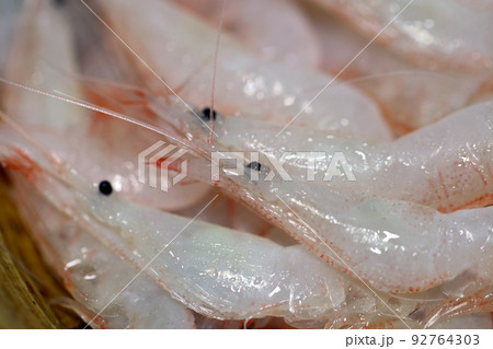 富山湾名物「シロエビ」の姿造りのお刺身姿をマクロ撮影。 富山湾名物「シロエビ」の姿造りのお刺身姿をマクロ撮影。 92764303