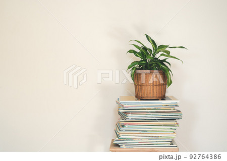 Dieffenbachia or Dumb cane plant in wicker flower pot on a stack of books on a light background, minimalist and scandinavian style, copy space Dieffenbachia or Dumb cane plant in wicker flower pot on a stack of books on a light background, minimalist and scandinavian style, copy space 92764386
