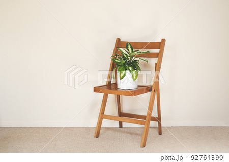 Dieffenbachia or Dumb cane plant in a white flower pot on a chair in a light empty room, minimalist and scandinavian style 92764390