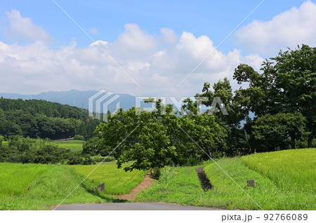 竹之下の原風景　のどかな夏景色　田園風景 92766089