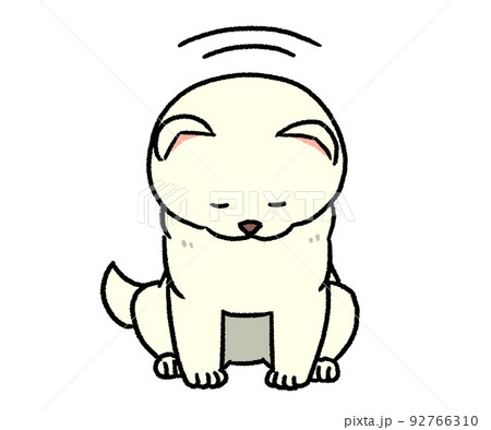 お辞儀している白い柴犬 92766310