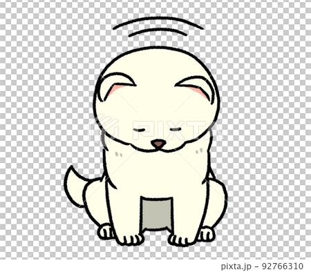 お辞儀している白い柴犬 92766310