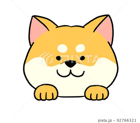 茶色い柴犬の顔 92766321