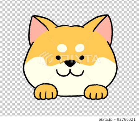 茶色い柴犬の顔 92766321