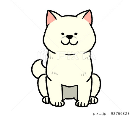 座っている白い柴犬 座っている白い柴犬 92766323