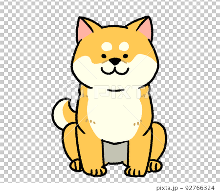 座っている茶色い柴犬 92766324