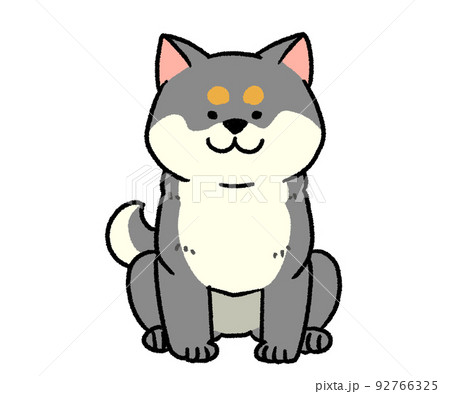 座っている黒い柴犬 92766325