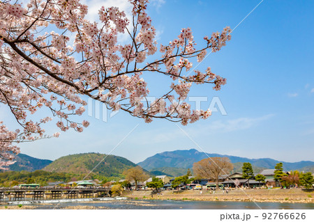 春の京都・嵐山の渡月橋付近で見た、満開の桜と快晴の青空 92766626