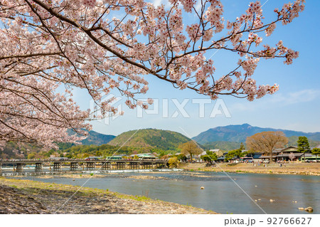 春の京都・嵐山の渡月橋付近で見た、満開の桜と快晴の青空 92766627