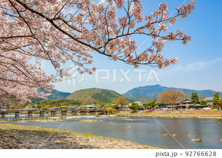 春の京都・嵐山の渡月橋付近で見た、満開の桜と快晴の青空 春の京都・嵐山の渡月橋付近で見た、満開の桜と快晴の青空 92766628