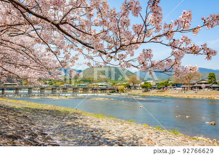 春の京都・嵐山の渡月橋付近で見た、満開の桜と快晴の青空 92766629
