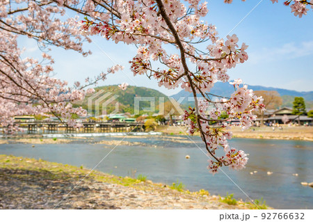 春の京都・嵐山の渡月橋付近で見た、満開の桜と快晴の青空 春の京都・嵐山の渡月橋付近で見た、満開の桜と快晴の青空 92766632