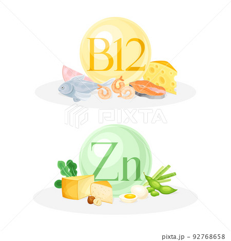 Products ontaining Vitamin B12 and Zinc with Seafood, Cheese and Legume Vector Composition Set Products ontaining Vitamin B12 and Zinc with Seafood, Cheese and Legume Vector Composition Set 92768658
