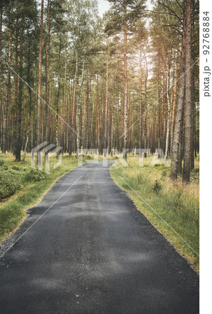 Asphalt path in a forest, summer nature travel concept, color toning applied. 92768884