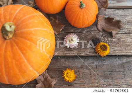Autumnal Background. Natural autumn fall view pumpkins on wooden background. Inspirational october or september wallpaper. Change of seasons ripe organic food concept. Halloween party Thanksgiving day 92769301