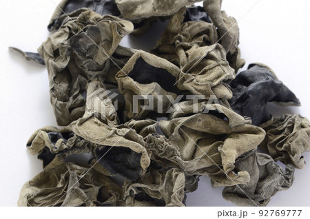 きくらげ 92769777