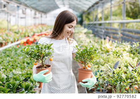Woman holds a pot of flowers in her hands, growing plants for sale, plant as a gift, flowers in a greenhouse, potted plant. 92770582