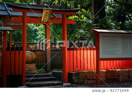 下鴨神社・糺の森、関西ラグビーの聖地・雑太社 下鴨神社・糺の森、関西ラグビーの聖地・雑太社 92771049