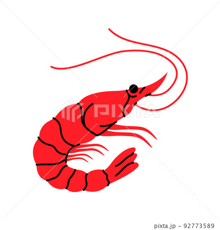 Shrimp silhouette. Shrimp prawn hand drawn illustration. Fresh prawn seafood icon 92773589