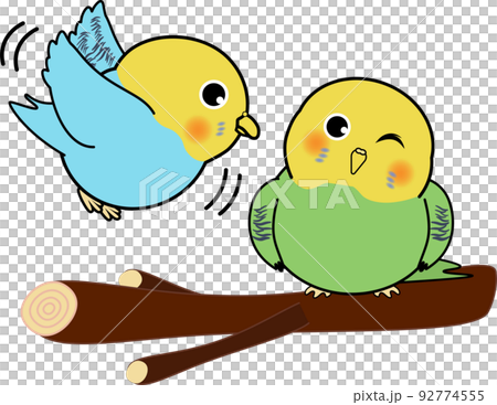 止まり木にとまるかわいいセキセイインコ 92774555