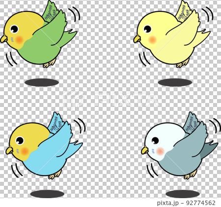 Cute budgerigar seen from the side flying 92774562
