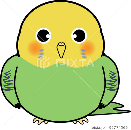 かわいいセキセイインコ 92774566
