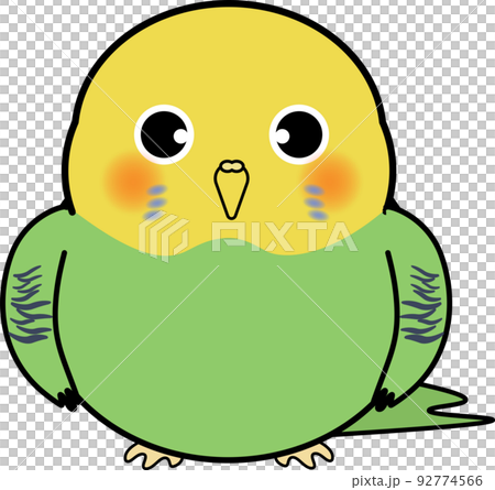 かわいいセキセイインコ 92774566