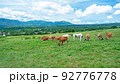 ジャージー牛　(蒜山高原） 92776778