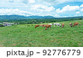 ジャージー牛　(蒜山高原） 92776779