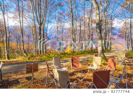 【キャンプ素材】秋のキャンプ風景【長野県】 92777748