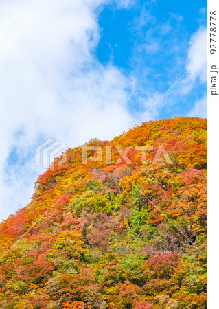 紅葉の山 紅葉の山 92778778