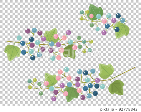 装飾に使えるカラフルな野ぶどうのイラスト 92778842