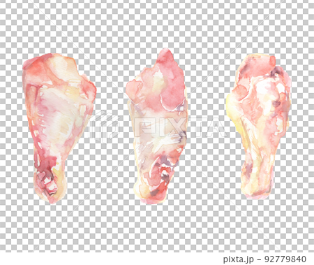 水彩畫的雞翅插圖 水彩畫的雞翅插圖 92779840