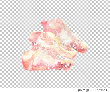 水彩畫的雞翅插圖 92779841