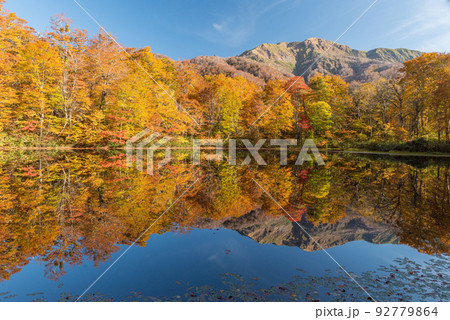 紅葉の刈込池 92779864