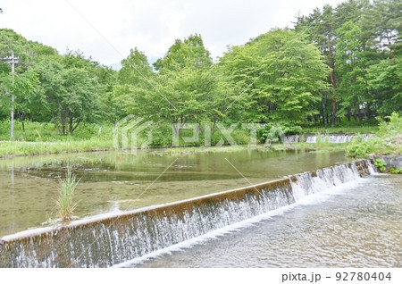 上原ぬるめ水路の堰を流れる水 92780404