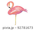 手書き・色鉛筆風のフラミンゴのイラスト 92781673