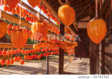 （山梨県）ころ柿の里・民家の軒先の枯露柿 92782382