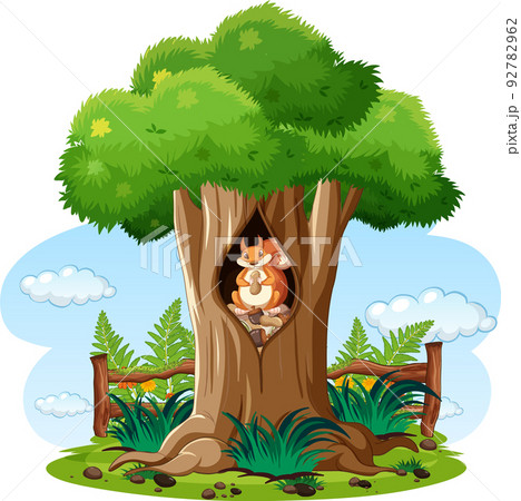 Nature scene with squirrel in the tree 92782962