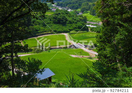 木陰から眺める里の風景　夏の原風景　里山 92784211