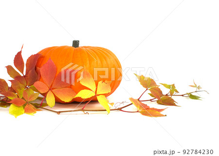 Thanksgiving, Halloween autumnal or fall still life Thanksgiving, Halloween autumnal or fall still life 92784230