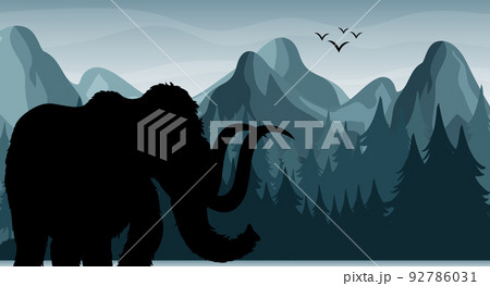 Silhouette shadow of forest scene 92786031