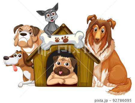 Group of domestic dogs cartoon 92786095