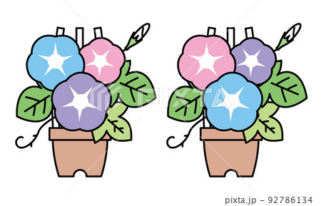 朝顔の花と蕾と葉と鉢植えのイラスト素材。 92786134