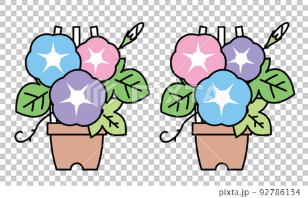 朝顔の花と蕾と葉と鉢植えのイラスト素材。 92786134
